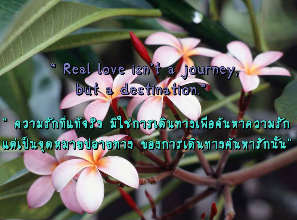 คำคมภาษาอังกฤษ แปลไทย 5