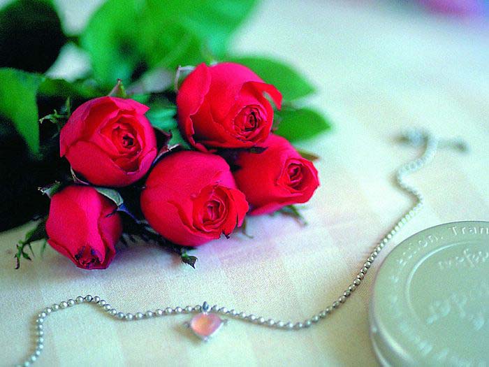 Roses_Symbol of Indispensable Love .•°•.° ღღღ Part 2/2