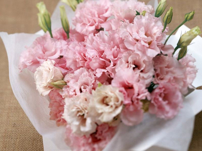 Floral Gifts ●•.•°•.° ღღღ 2