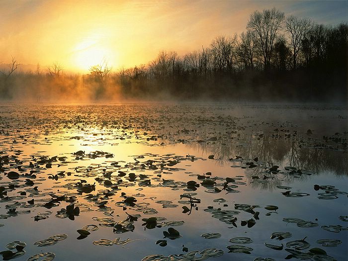 Cuyahoga Valley National Recreation Area at Sunrise Ohio