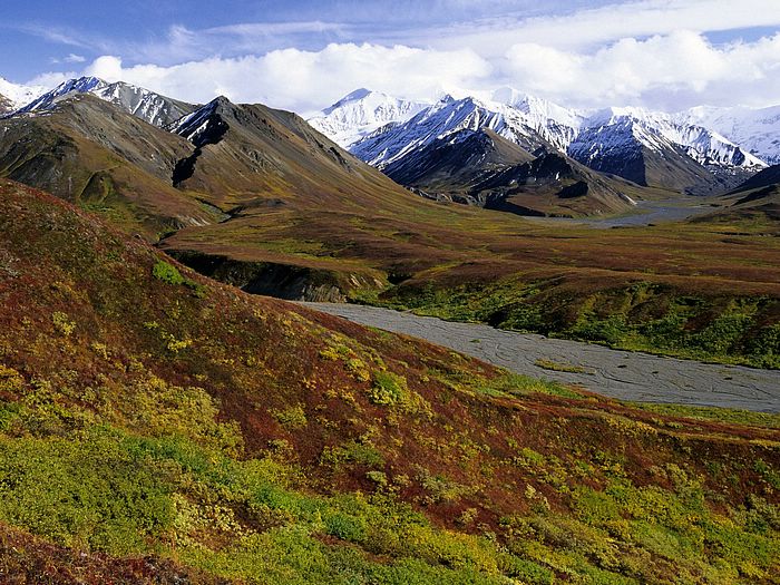 Alaska Range and Tundra Denali National Park Alaska