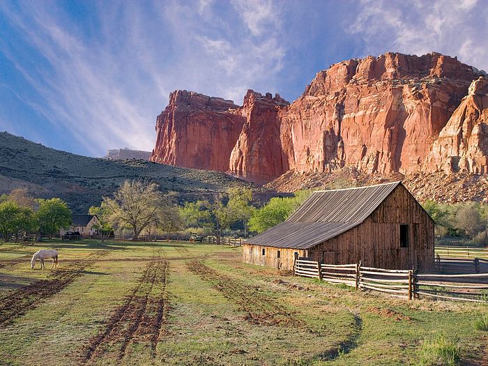 Historic Fruita Capitol Reef National Park Utah