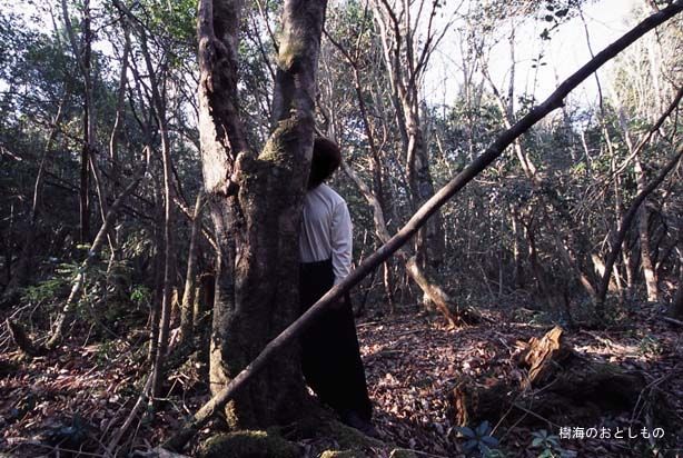 Aokigahara ป่าแห่งความตาย ™