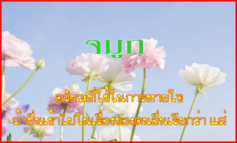 รูปภาพ