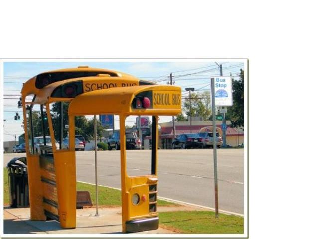 ~~~Interesting Bus Stops~~~