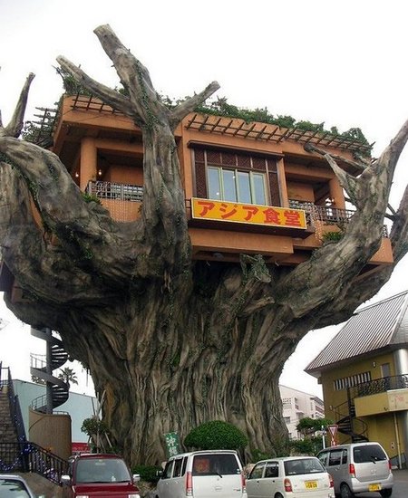 \"\" Restaurant in a tree \"\"