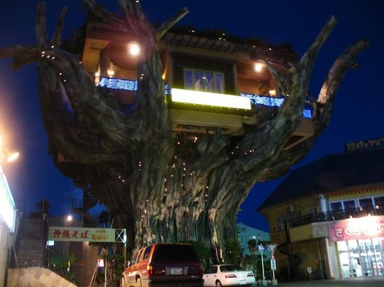 \"\" Restaurant in a tree \"\"
