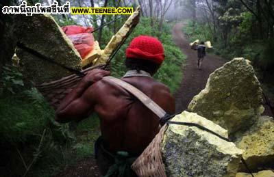 คนภูเขาไฟ ที่ Kawah Ijen ใน Indonesia 