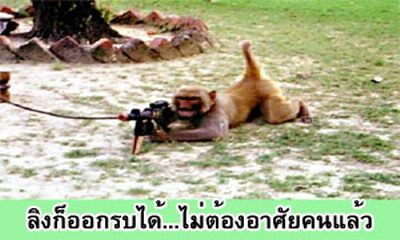 สรวลเส..เฮฮา กับภาพขำขำ 3