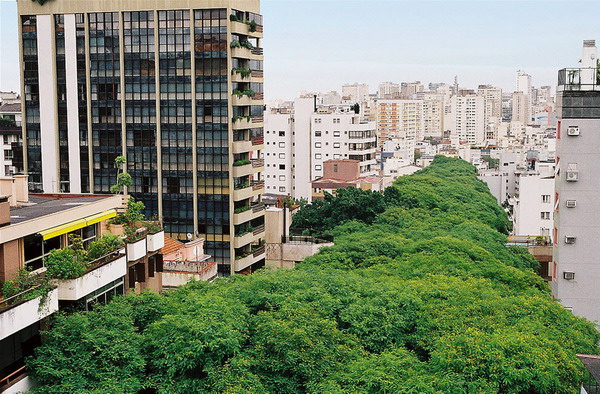 ถนนสีเขียว ถนน Rua de Carvalho Goncalo บราซิล