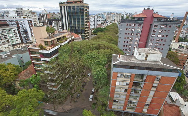 ถนนสีเขียว ถนน Rua de Carvalho Goncalo บราซิล