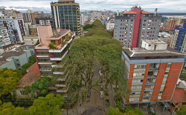 ถนนสีเขียว ถนน Rua de Carvalho Goncalo บราซิล