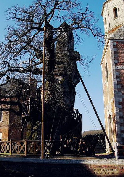 Chapel - Oak of Allouville - Bellefosse