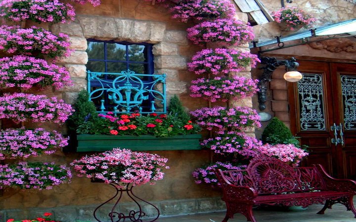 หน้าต่างธรรมชาติ จากดอกไม้ สวยมาก ๆ