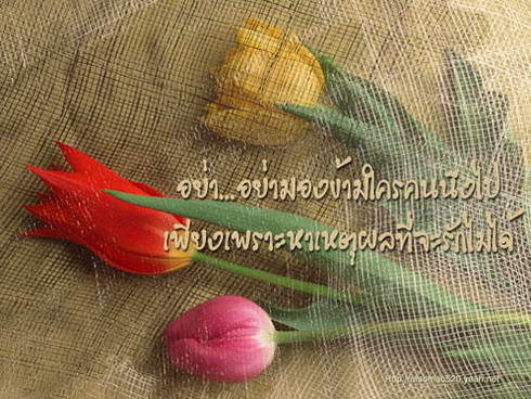 การ์ดความรัก แบบเลิฟ เลิฟ