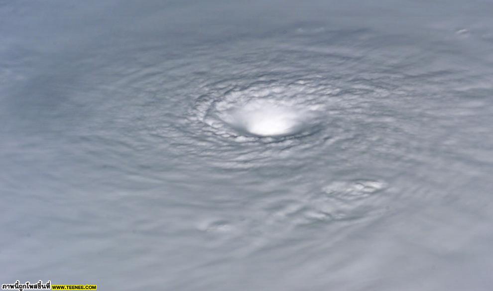 Hurricane Wilma 2005