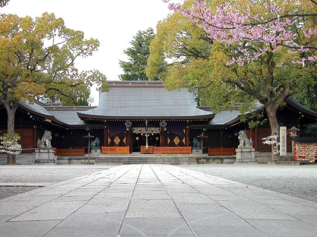 ดอกไม้บาน ณ Himeji Castle