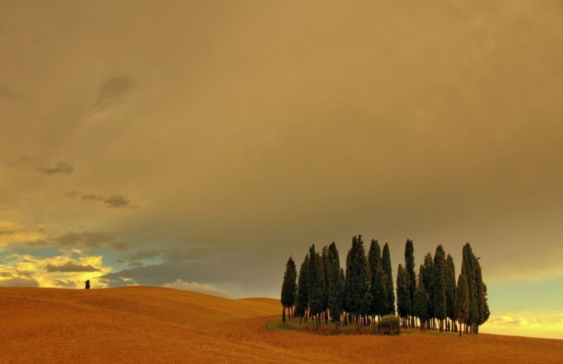 ทิวทัศน์สดใส...ที่ Tuscany อิตาลี