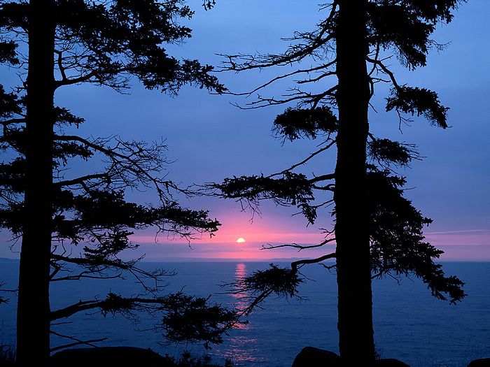 Atlantic Sunrise Acadia National Park Maine