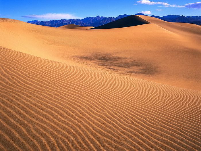 Sand Dunes Death Valley National Park California
