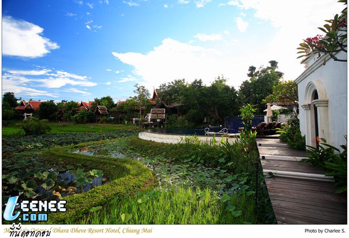 The Mandarin Oriental Dhara Dhevi Resort Hotel Chiang Mai