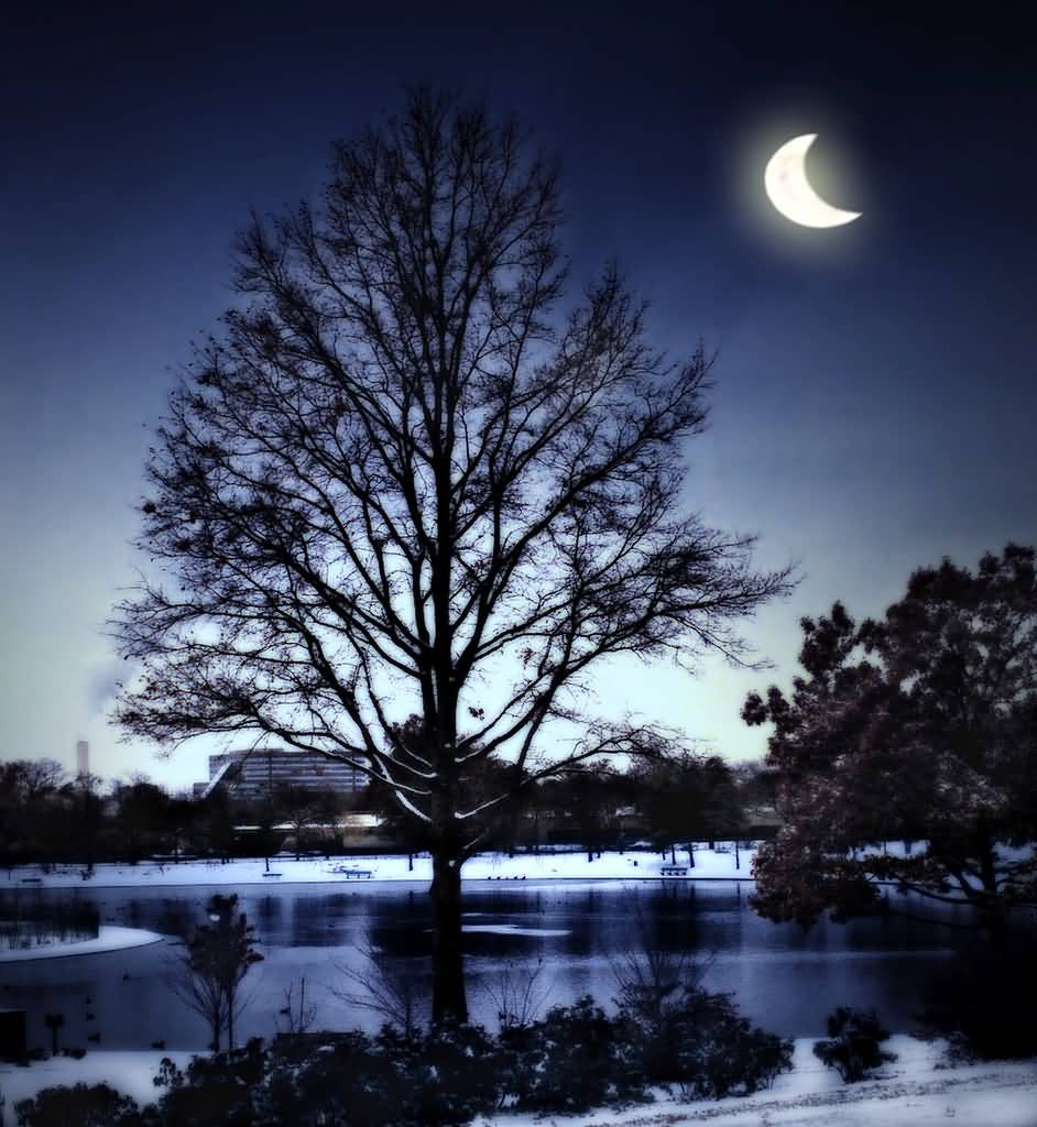 Moon on night