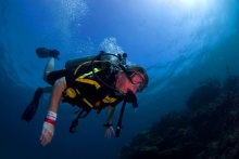 พิพิธภัณฑ์ใต้น้ำแคนคูน สวนประติมากรรมใต้น้ำที่ใหญ่ที่สุดในโลก