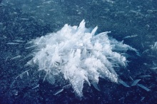 สวยธรรมชาติ ช่อดอกน้ำแข็งแห่งมาลีหิมะ Ice Flowers 