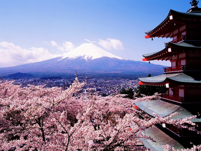 Honshu, Japan 