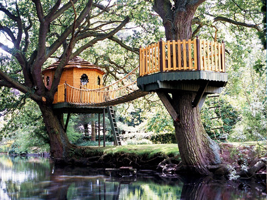 Tree house