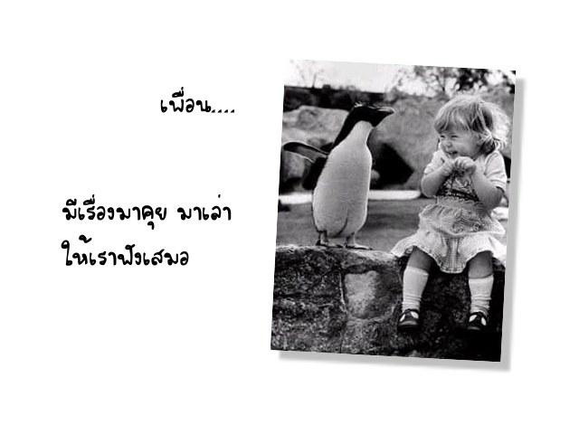 นี่แหละเพื่อน... แท้