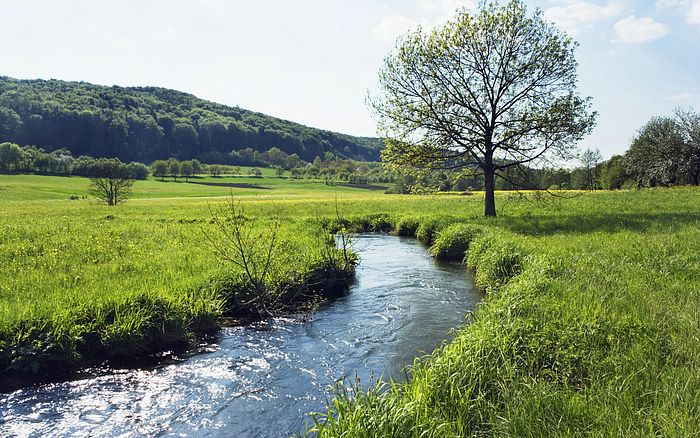 River running through meadow in Bavaria, Germany