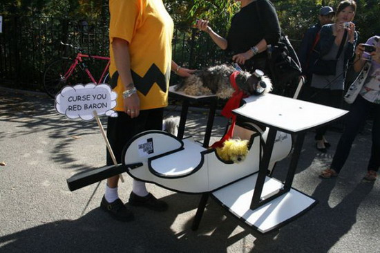 Creative Halloween dog costumes (4)  