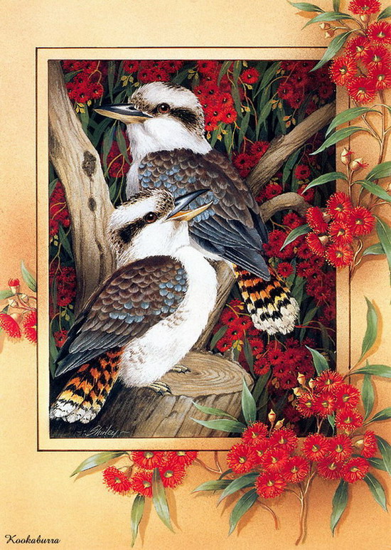 Beautiful Bird Paintings