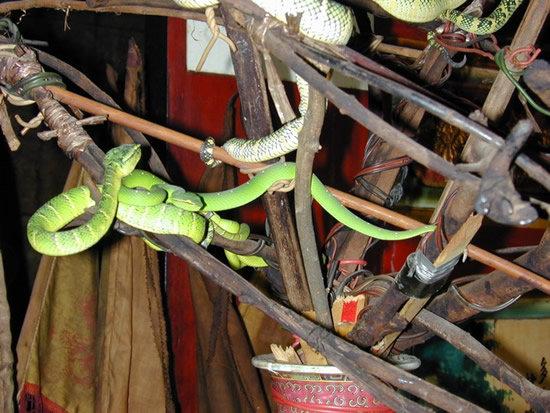 Snake Temple วัดงูที่มาเลเซีย