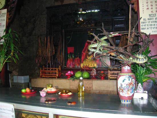 Snake Temple วัดงูที่มาเลเซีย