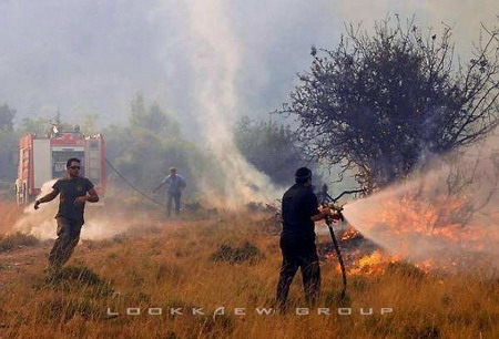 เพลิงเผาผลาญป่า ที่ กรีซ 
