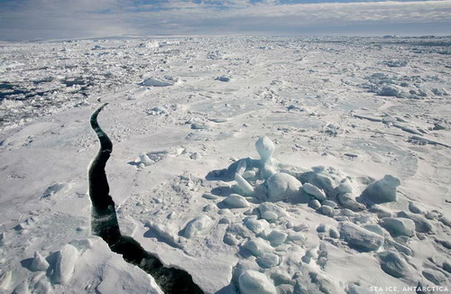 สวยเทพ! ช่างภาพมะกัน ตระเวนเก็บภาพน้ำแข็งขั้วโลกเหนือ 