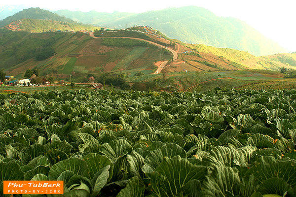 รวมที่สุดแห่งเมืองหนาว สถานที่ท่องเที่ยวช่วงปีใหม่