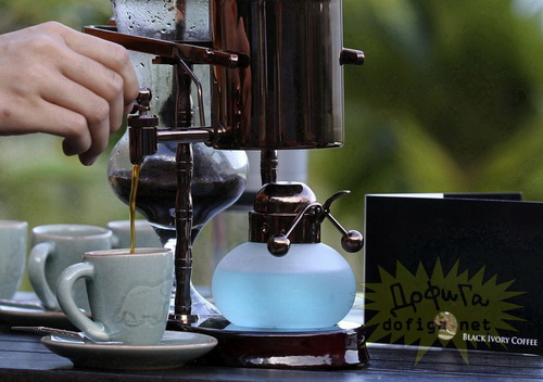 กาแฟขี้ช้าง กาแฟที่แพงที่สุดในโลก 