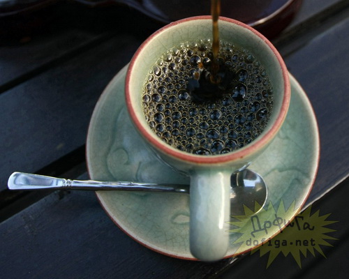 กาแฟขี้ช้าง กาแฟที่แพงที่สุดในโลก 