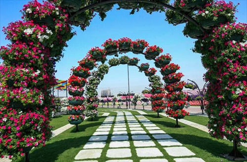 Miracle Garden สวนดอกไม้ใหญ่ที่สุดในโลก
