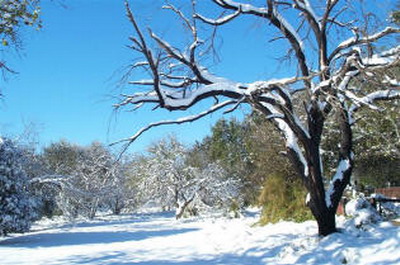 หนาว..หนาว ไปกับเทศกาล  \"Christmas\"ใน Holland