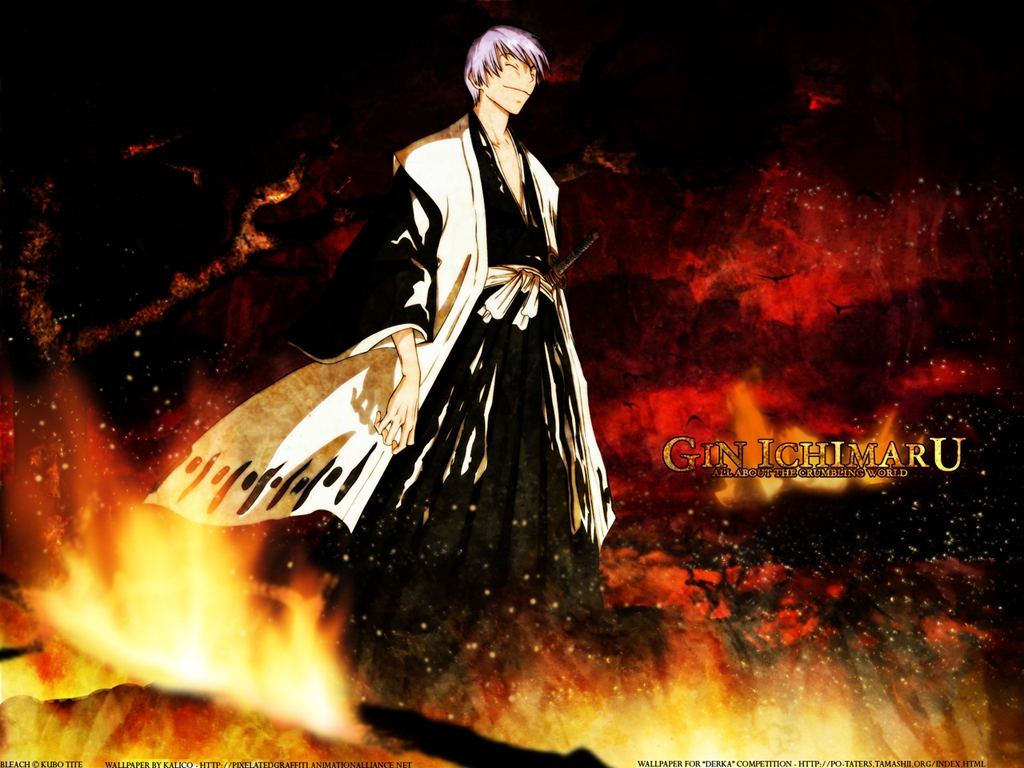 Bleach เทพมรณะ...!!!