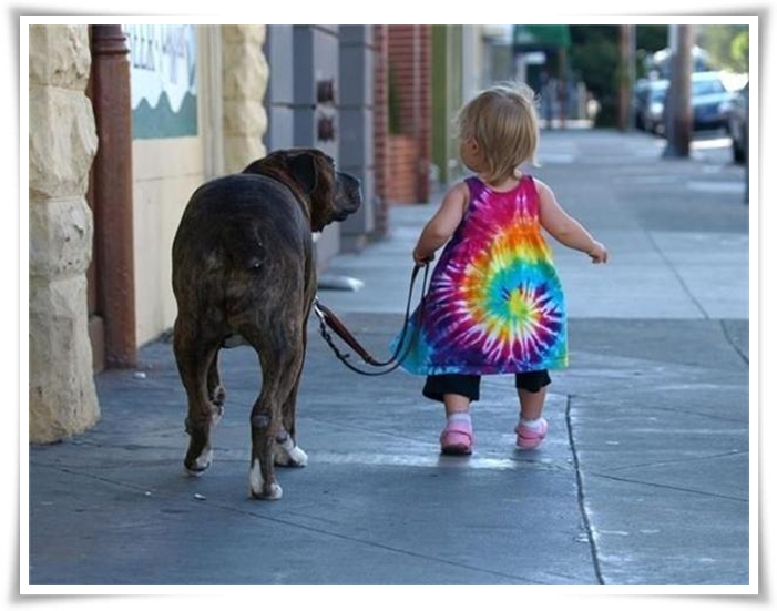 ♥Dogs,Cats and Kids♥