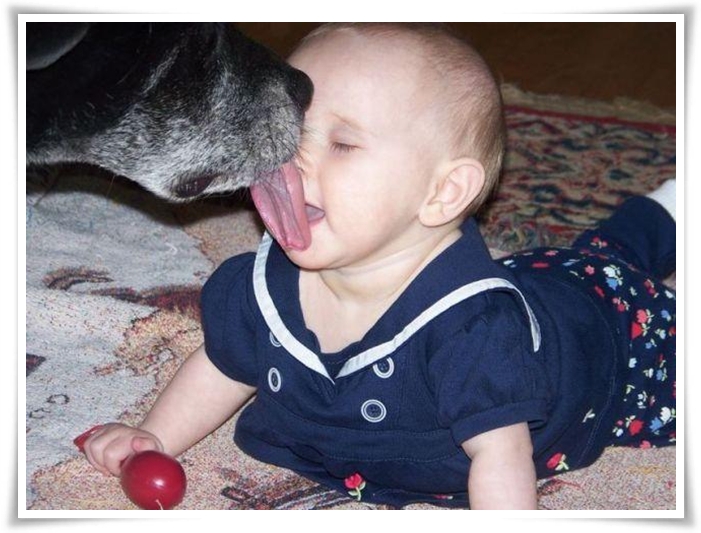 ♥Dogs,Cats and Kids♥