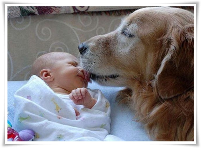 ♥Dogs,Cats and Kids♥