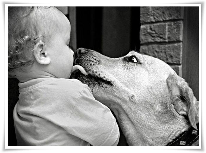♥Dogs,Cats and Kids♥