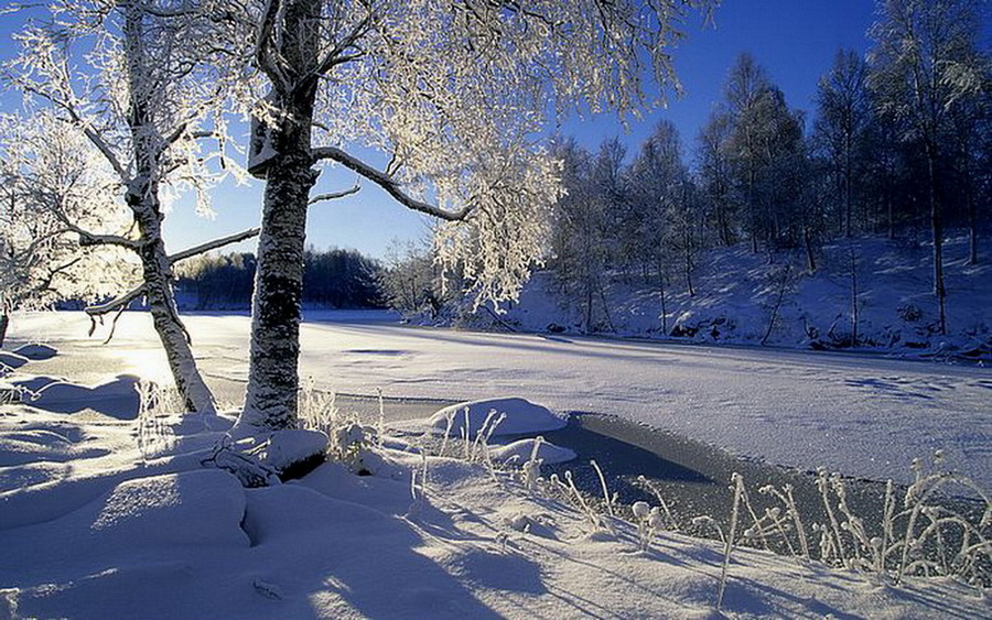 Beautiful Winter Season..