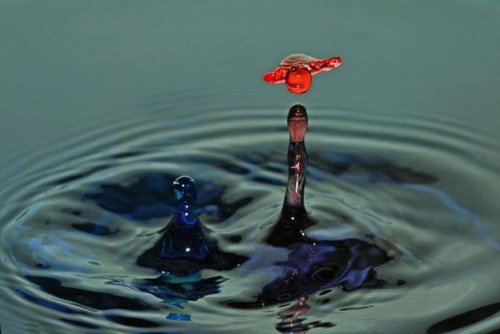 Amazing water drop photography
